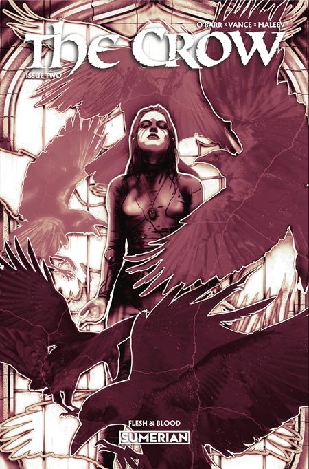 CROW FLESH AND BLOOD #2 CVR A LUCAS PEVERILL (MR) CB (11/11/2026)