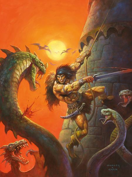 SAVAGE SWORD OF CONAN #17 CVR C ALEX HORLEY VIRGIN CARDSTOCK VAR (MR) CB (11/11/2026)