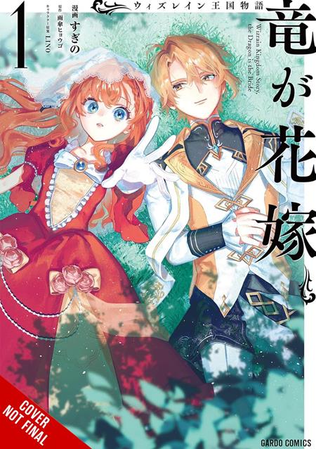 TALE OF THE WIZRAIN KINGDOM THE DRAGON IS THE BRIDE TP VOL 01 TP (11/25/2026)