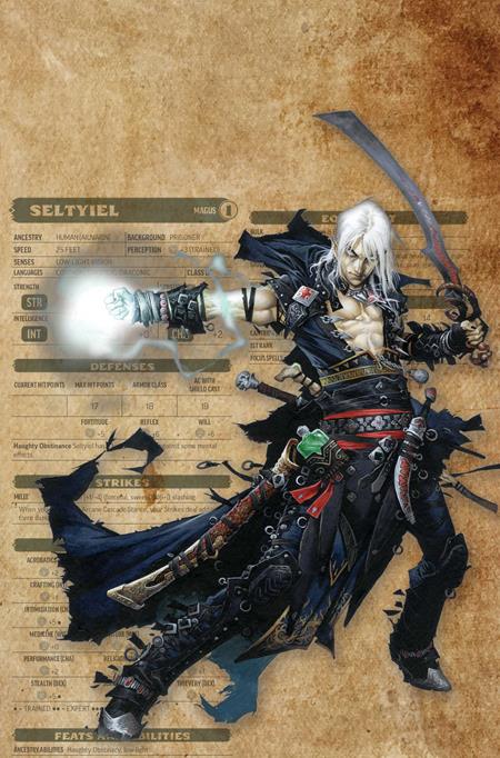 PATHFINDER VAMPIRELLA BLADE OF DARKNESS #3 CVR G INC 1:15 WAYNE REYNOLDS CHARACTER SHEET VIRGIN VAR [1:15] CB (12/23/2026)