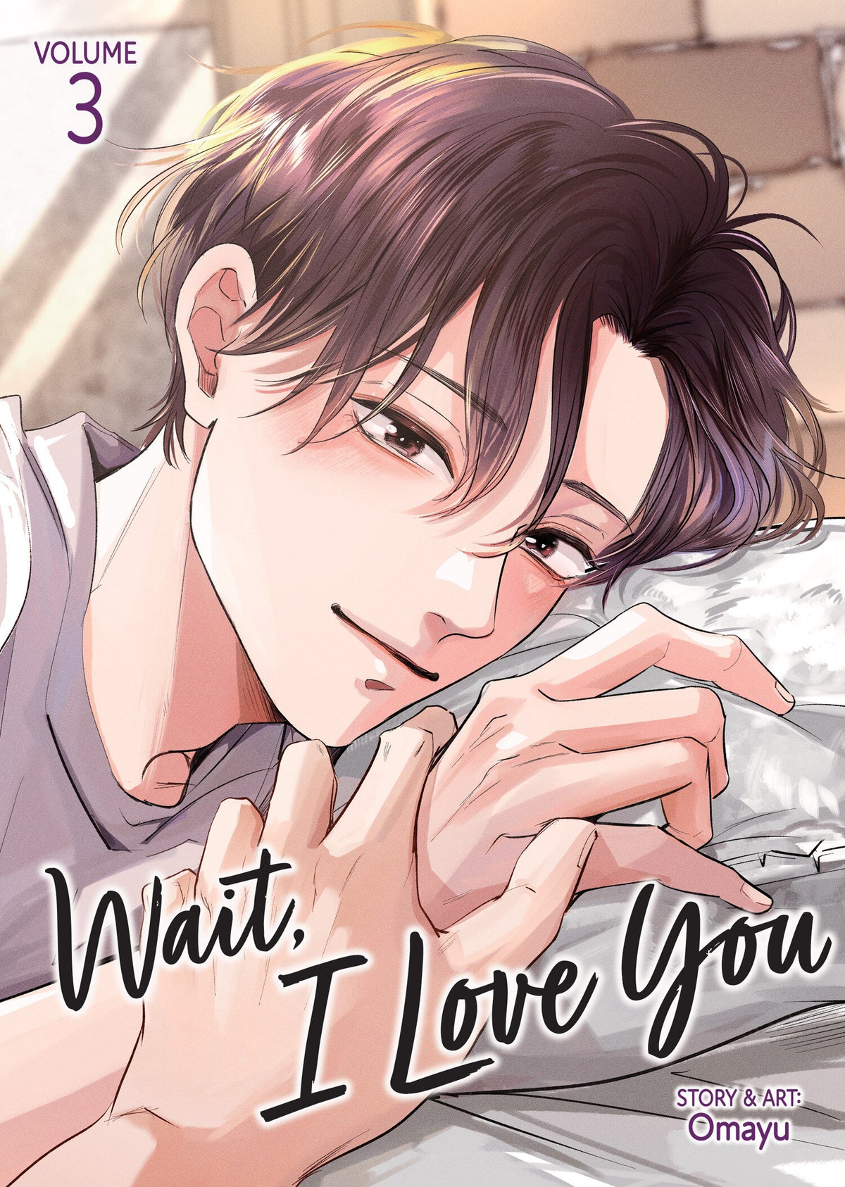 Wait, I Love You Vol. 3 TR (02/09/2027)