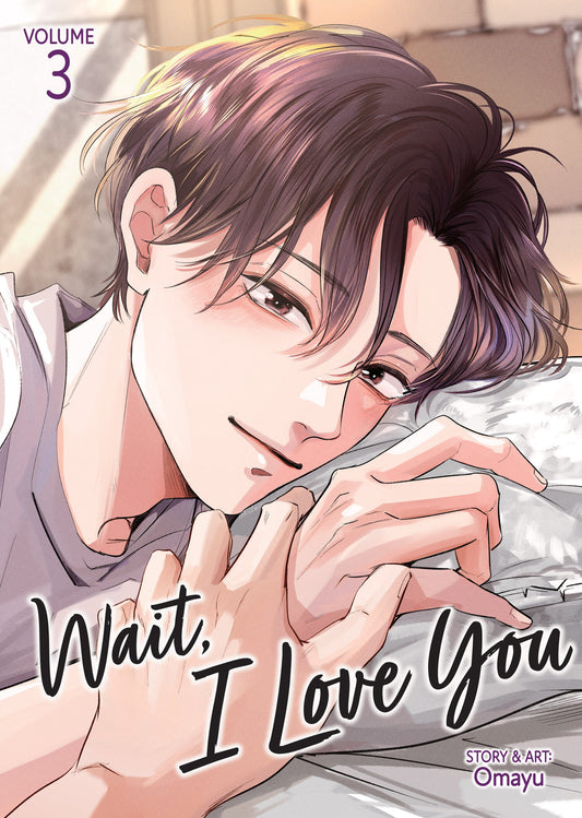 Wait, I Love You Vol. 3 TR (02/09/2027)