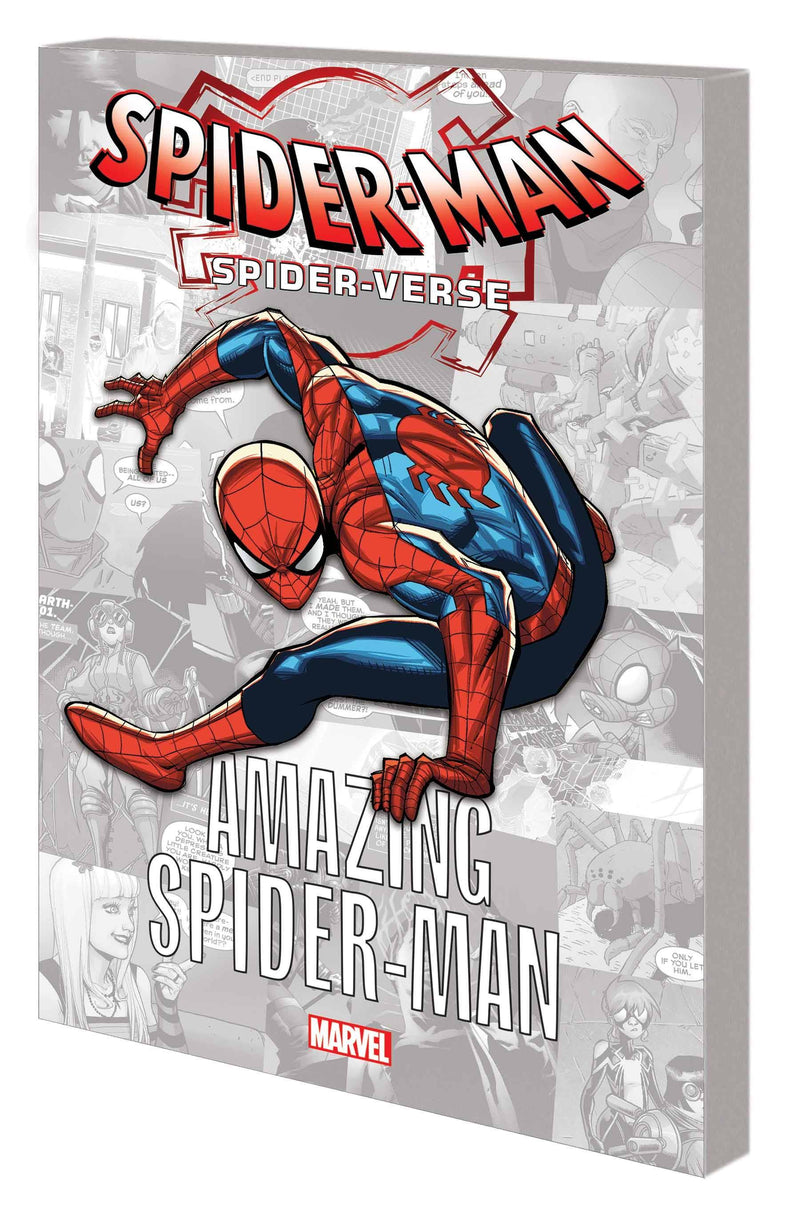 SPIDER-VERSE GN TP AMAZING SPIDER-MAN